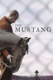 The Mustang 2019 Full HD