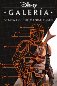 Galería Disney / Star Wars : The Mandalorian