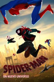 Spider-Man: Un nuevo universo Full HD